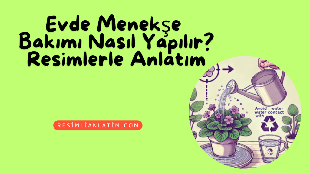 Evde Menekşe Bakımı Nasıl Yapılır? Resimli Anlatım