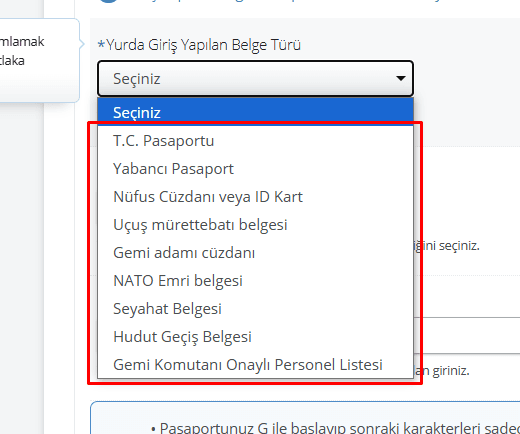 e-devlet imei kaydetme