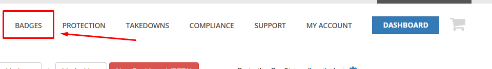 Badges ekranı